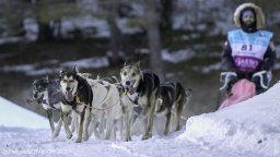 gervasoni philippe_999 220219 la grande odyssee haute maurienne 3